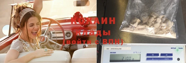 спиды Богородск
