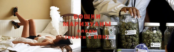 спиды Богородск