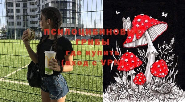 спиды Богородск
