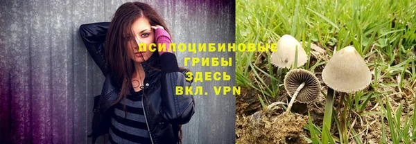 спиды Богородск