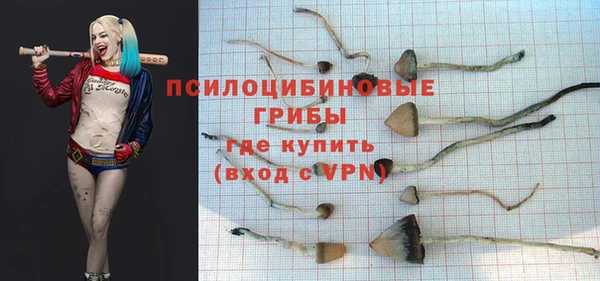 спиды Богородск