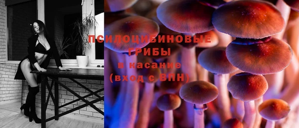 спиды Богородск
